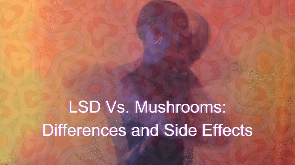 Lsd vs Mushrooms