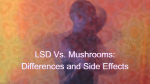 Lsd vs Mushrooms​
