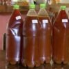 Ayahuasca Tea Where To Buy