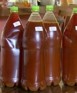 Ayahuasca Tea Online