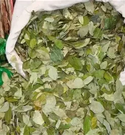 Buy Coca Leaves Online
