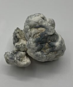 Merinque Mushrooms
